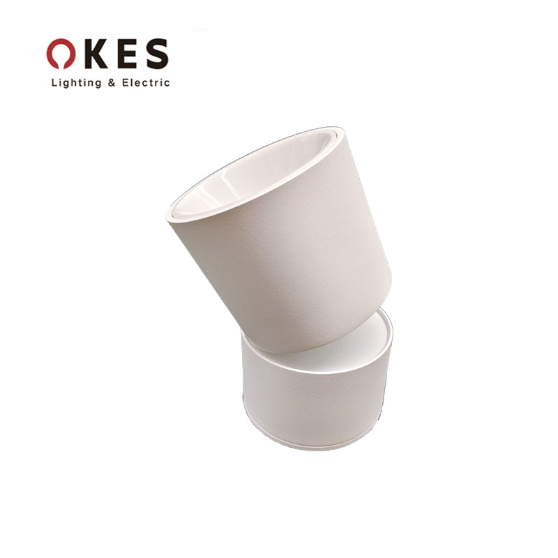 LED indoor ceiling light 360°adjustable – 10w LED ceiling downlight – aluminum wall light