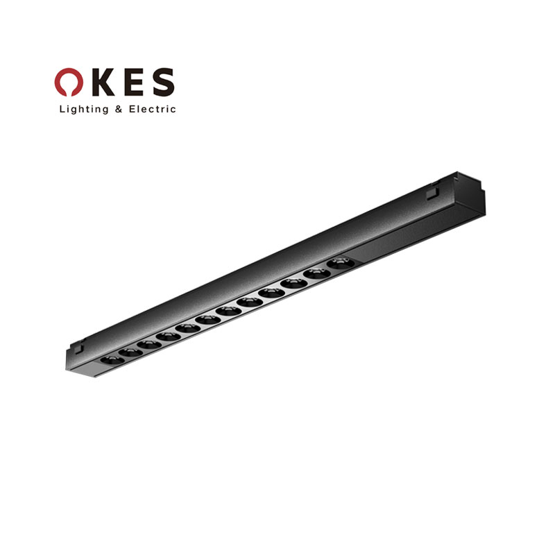 Tuya Dimmable DC48V Ultra Thin LED Surface Mounted Magnetic Light