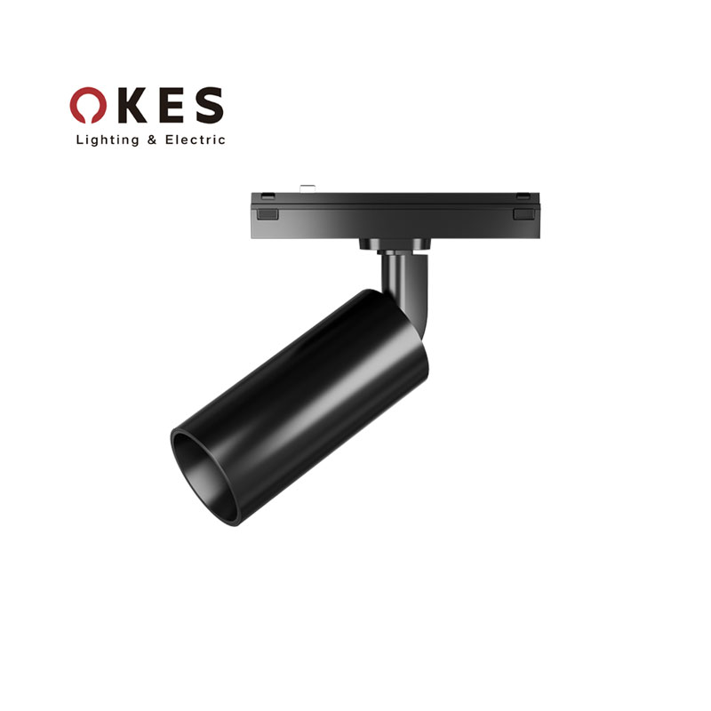 Tuya Dimmable DC48V Ultra Thin LED Surface Mounted Magnetic Light