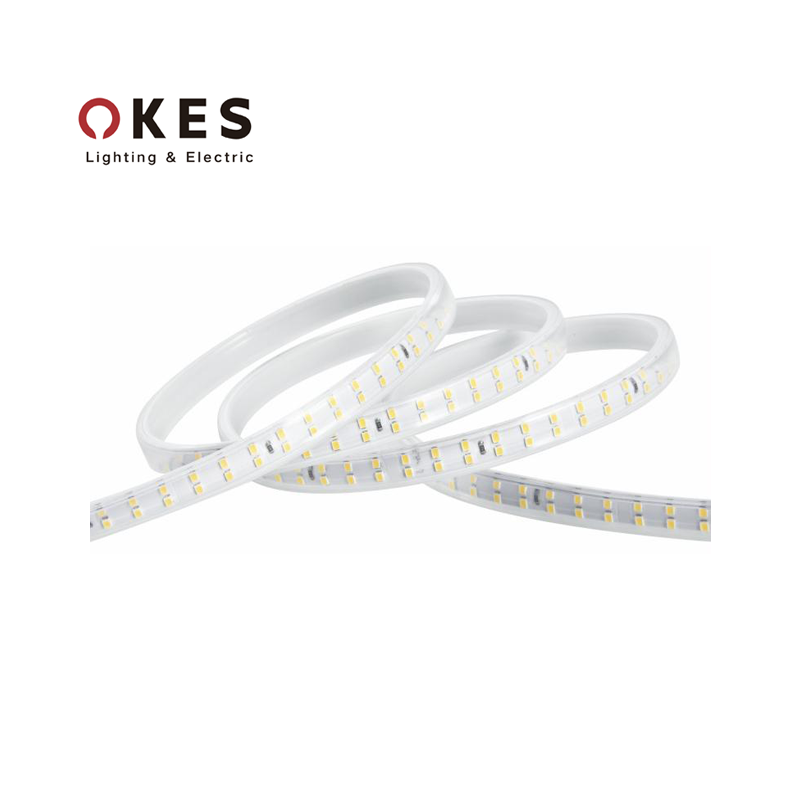 220V 2835 120D LED strip light