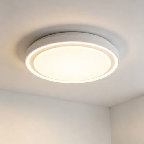 LED Ceiling Light