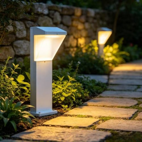 Outdoor LED Light