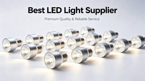 Best LED Light Supplier